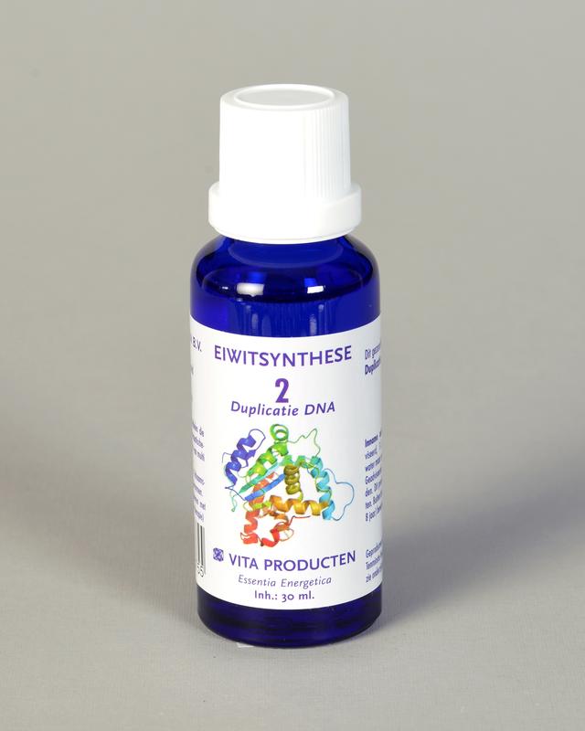 Vita Eiwitsynthese 2 DNA duplicatie