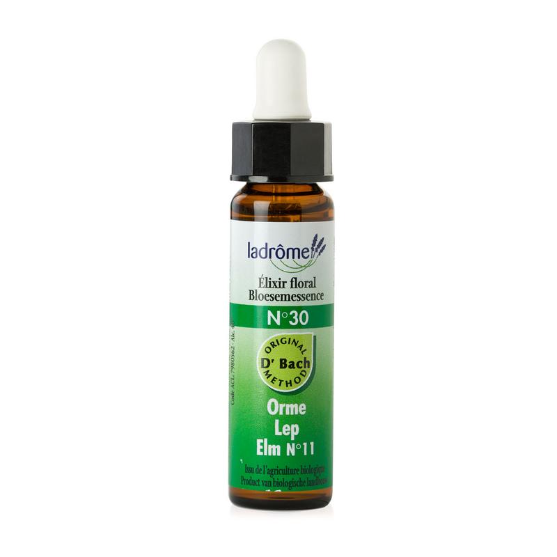 Ladrome Elm/iep 30 bio