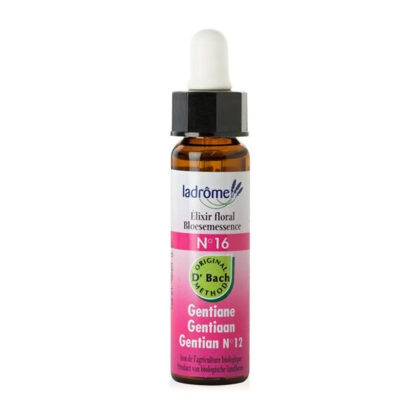 Ladrome Gentian/gentiaan 16 bio