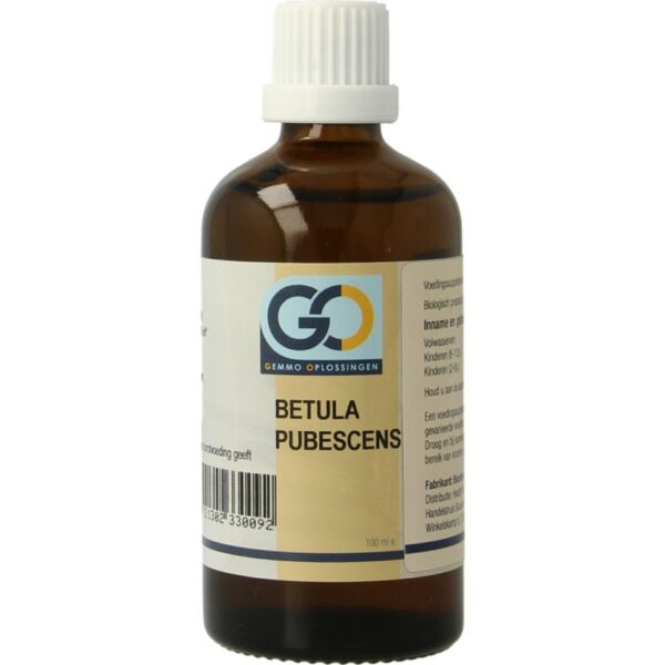 GO Betula pubescens bio