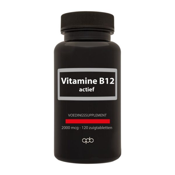 Apb Holland Vitamine B12 actief 2000mcg