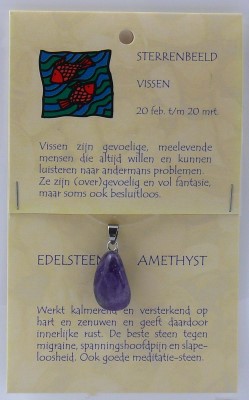 Steengoed Sterrenbeeldsteen hanger vissen